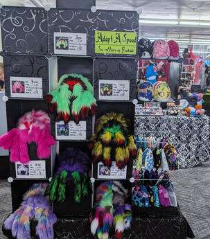 MftS Spooder Adoption